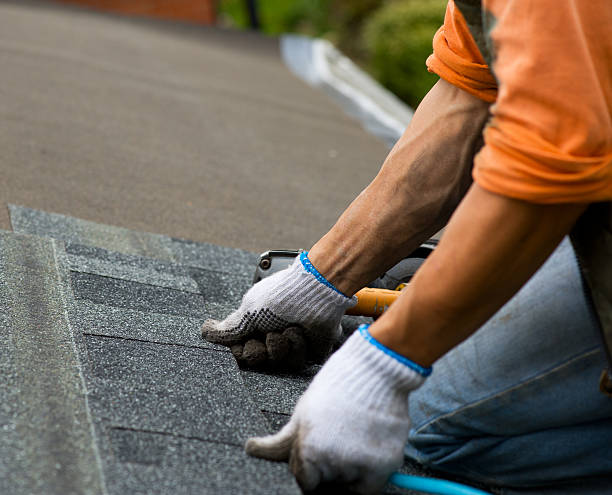 Roof Gutter Cleaning in Wells, NV